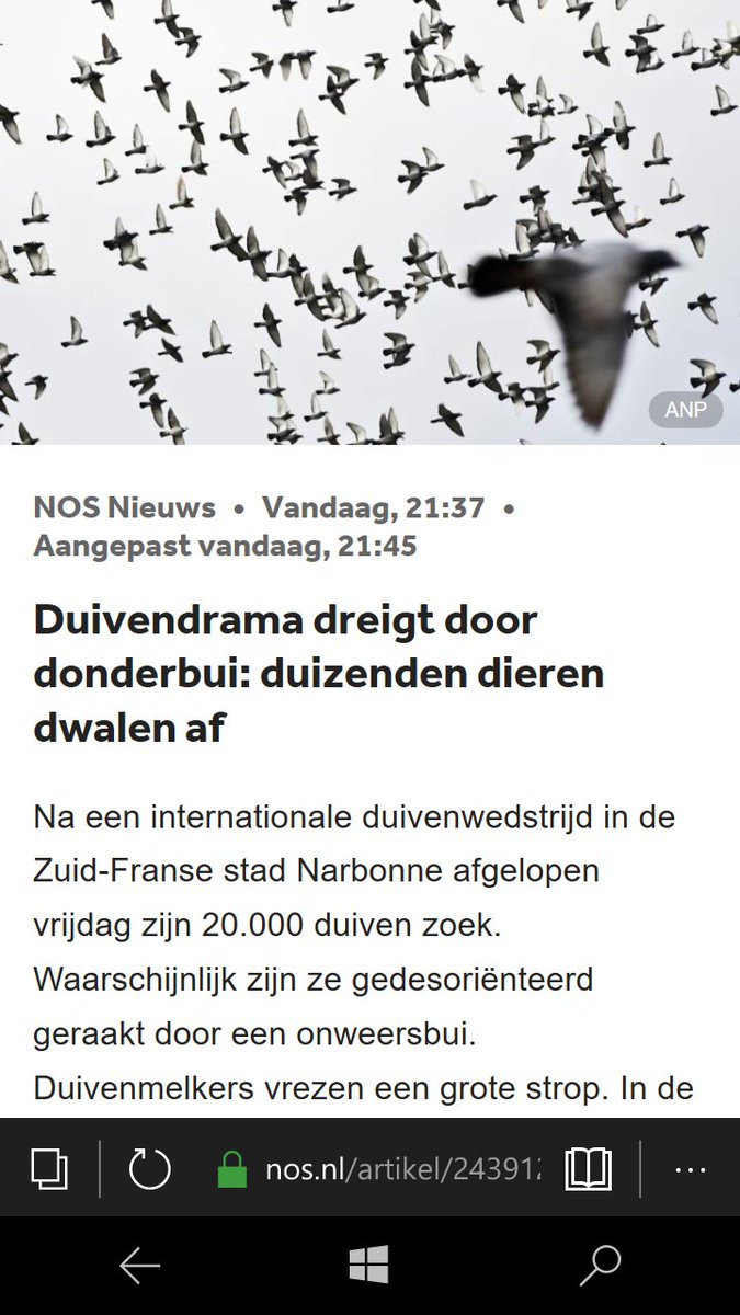 Schoolvoorbeeld van #alliteratie, <a href="/NOS/">NOS</a> ik hou d'r van!