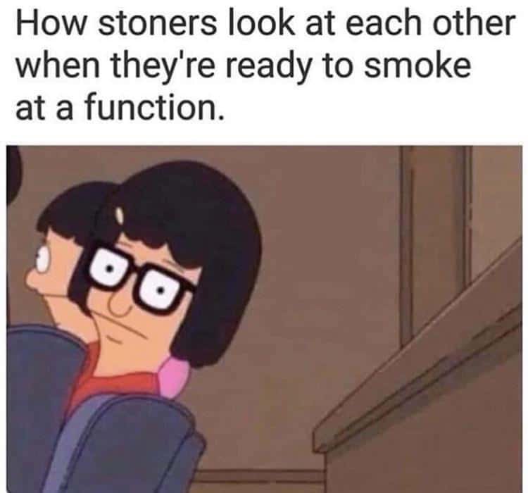 “The Look” 🤣🤣🤣 #Mmemberville #StonerFam