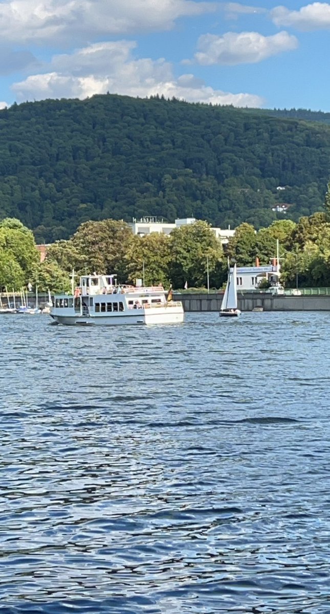 RayanMedical's tweet photo. #Heidelberg #germany https://t.co/q8I8amgTfm