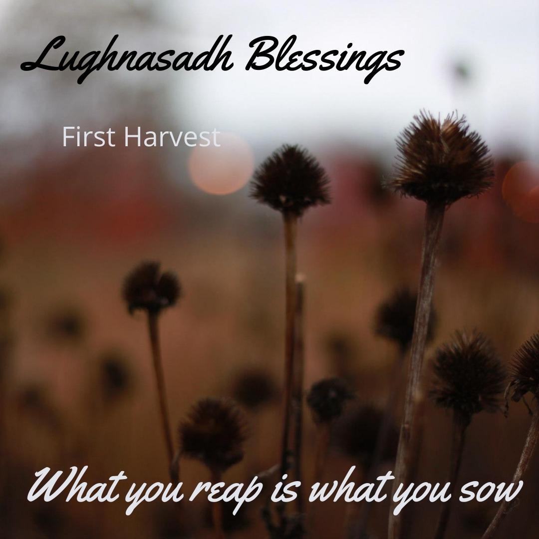 Happy Lughnasadh/Lammas #Lammas #Lughnasadh
