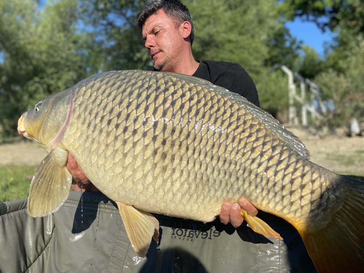 BobicSabri's tweet photo. Yine gözümüzüz yükseklerde!!!
🇹🇷🇹🇷🇹🇷
#planetbaits
#wildcarpfishing
#CatchandRelease 
#redsquid
#scoicar
#tuna
#red+ https://t.co/6F2BaZO5oV
