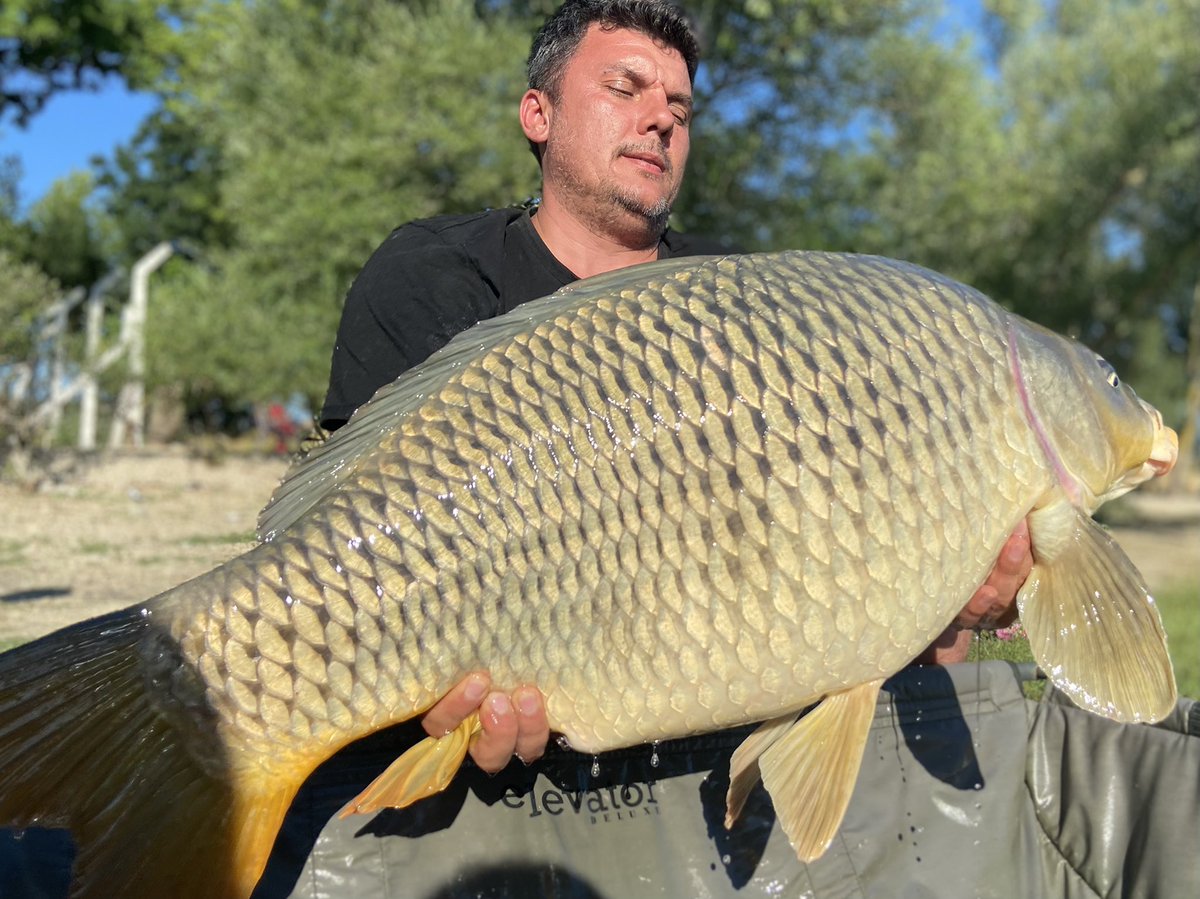 BobicSabri's tweet photo. Yine gözümüzüz yükseklerde!!!
🇹🇷🇹🇷🇹🇷
#planetbaits
#wildcarpfishing
#CatchandRelease 
#redsquid
#scoicar
#tuna
#red+ https://t.co/6F2BaZO5oV