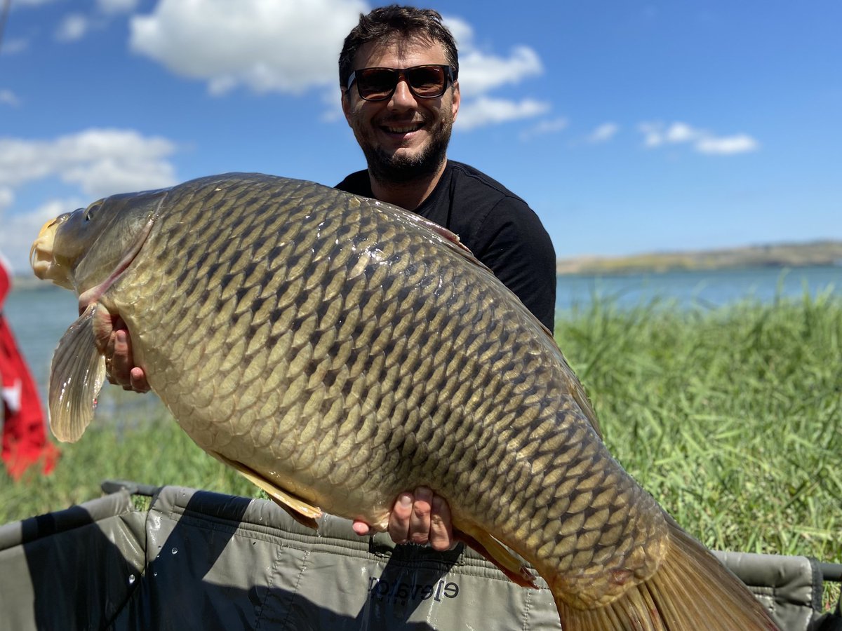 BobicSabri's tweet photo. Yine gözümüzüz yükseklerde!!!
🇹🇷🇹🇷🇹🇷
#planetbaits
#wildcarpfishing
#CatchandRelease 
#redsquid
#scoicar
#tuna
#red+ https://t.co/6F2BaZO5oV