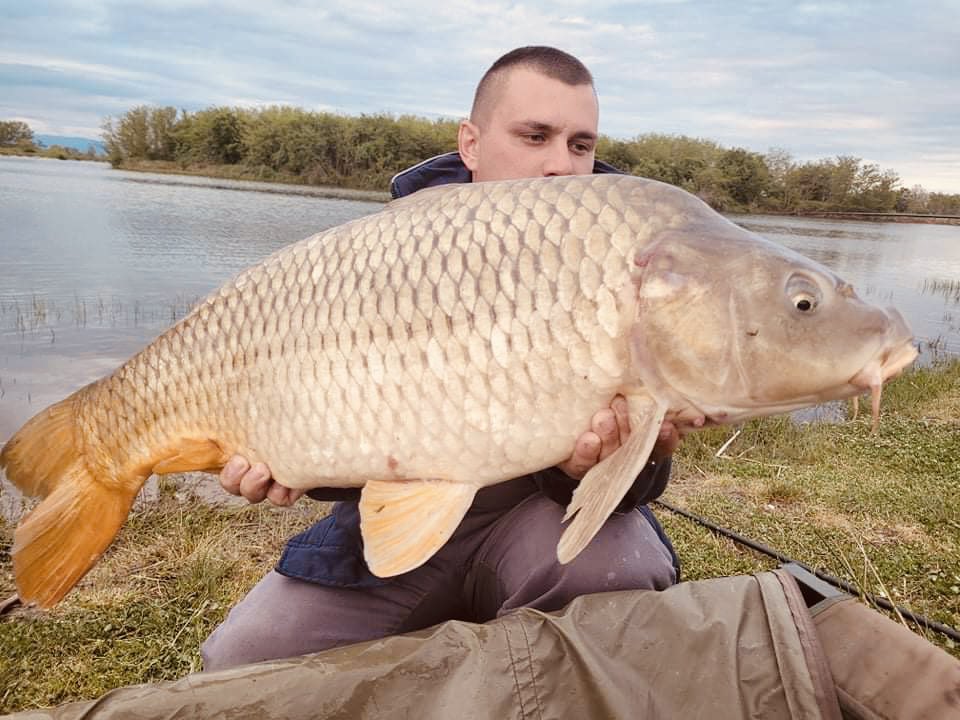 BobicSabri's tweet photo. Borets lake Bulgaria🇧🇬🇧🇬🇧🇬
 #carpbait #Boilies #RedSquid #TUNA #TXC #carpfood #carpy #wildcarp #bigcarp #carpfishing #karpervissen #karpfenangeln #karpfen #catchandrelease #carplife #carpcrossing #carpwatch #planetbaitsteam #carpunity https://t.co/gcqWt0OHnP