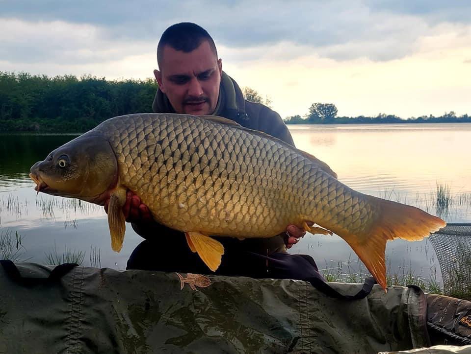 BobicSabri's tweet photo. Borets lake Bulgaria🇧🇬🇧🇬🇧🇬
 #carpbait #Boilies #RedSquid #TUNA #TXC #carpfood #carpy #wildcarp #bigcarp #carpfishing #karpervissen #karpfenangeln #karpfen #catchandrelease #carplife #carpcrossing #carpwatch #planetbaitsteam #carpunity https://t.co/gcqWt0OHnP
