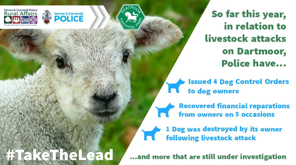 We wish it wasn't the case but some dog owners are responsible for their #dogs attacking #livestock. These incidents are #preventable. Why take the risk of getting a #CriminalRecord when you can be part of the solution and help #TakeTheLead near livestock?