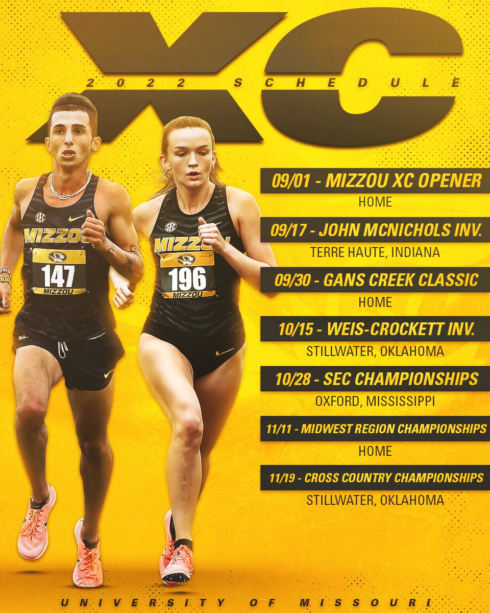 Let's race 📆

#MIZ 🐯