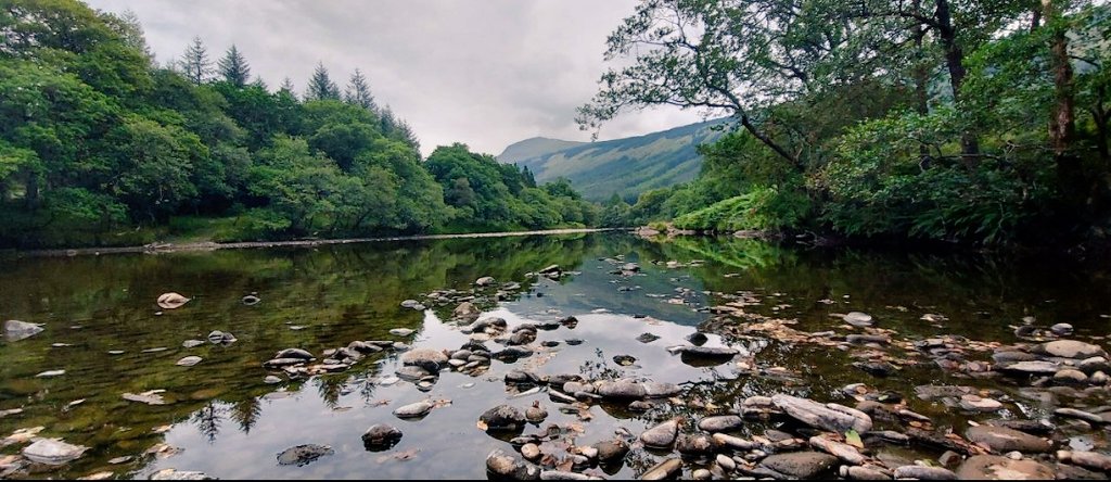 Have you ever taken the day to sit by a river and think about the next jpeg you're going to buy?

#NFTs