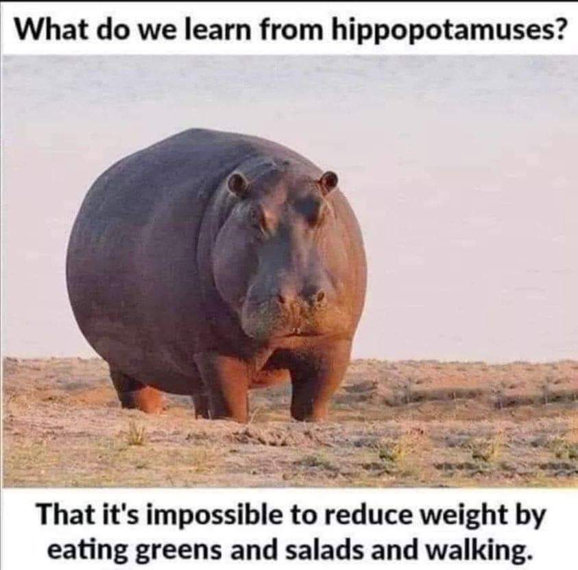 scubary7's tweet photo. Me as an animal! https://t.co/yAinMJGmLX