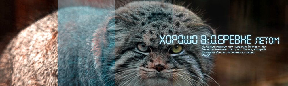 GogolAttraction's tweet photo. Коты очень милые животные, но если это дикий и явно опасный манул, лучше его поостеречься. 

Вся правда о шейпшифтерах в нашем миди "Хорошо в деревне летом" — https://t.co/3K3FWftI2Y.

#фб22 #гоголь #братьяпетровичи https://t.co/sWrpO0eQQv