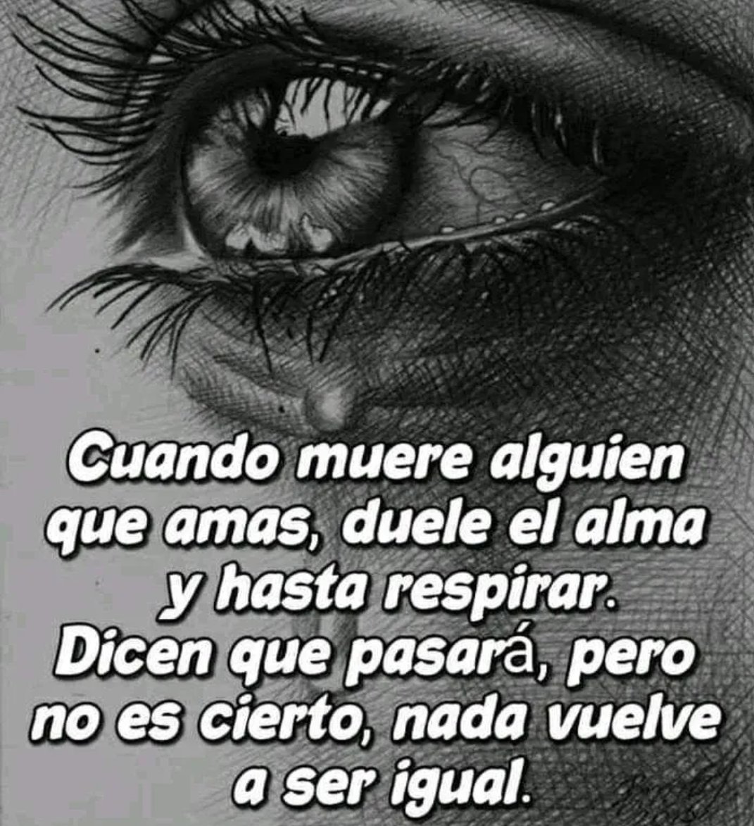 Monica_Yanez_He's tweet photo. 🌻🍀🪷💚🌸 https://t.co/htBZTjSZZB