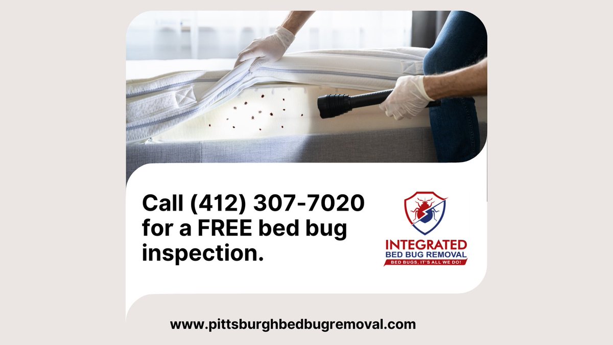 BedBugRemovalPA's tweet photo. Unlike other companies, we don't charge a fee for a bed bug inspection. Call us today at 412-307-7020 and let our Pittsburgh #bedbug exterminators help you! #pittsburghbedbugremoval #bedbuginspection #bedbugtreatment #bedbugspecialists #bedbughelp 
https://t.co/TOGGytFJCE https://t.co/bVyRvjzu9S