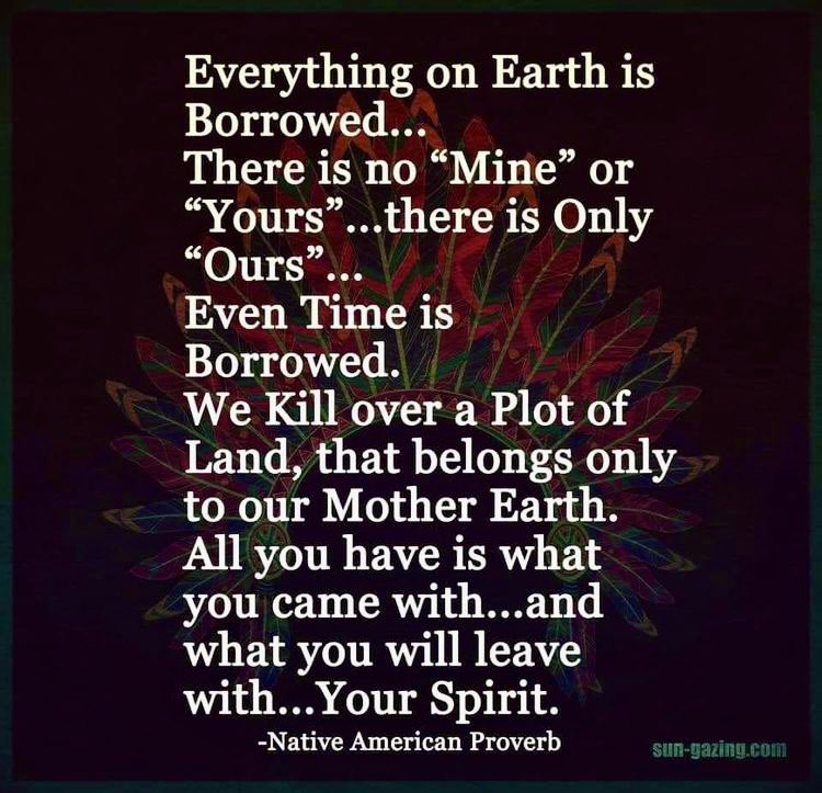 Native3rd's tweet photo. 💯…👇🏾We are in this together! 🦅🦬…🪶✨… https://t.co/rWCuBI1ALp