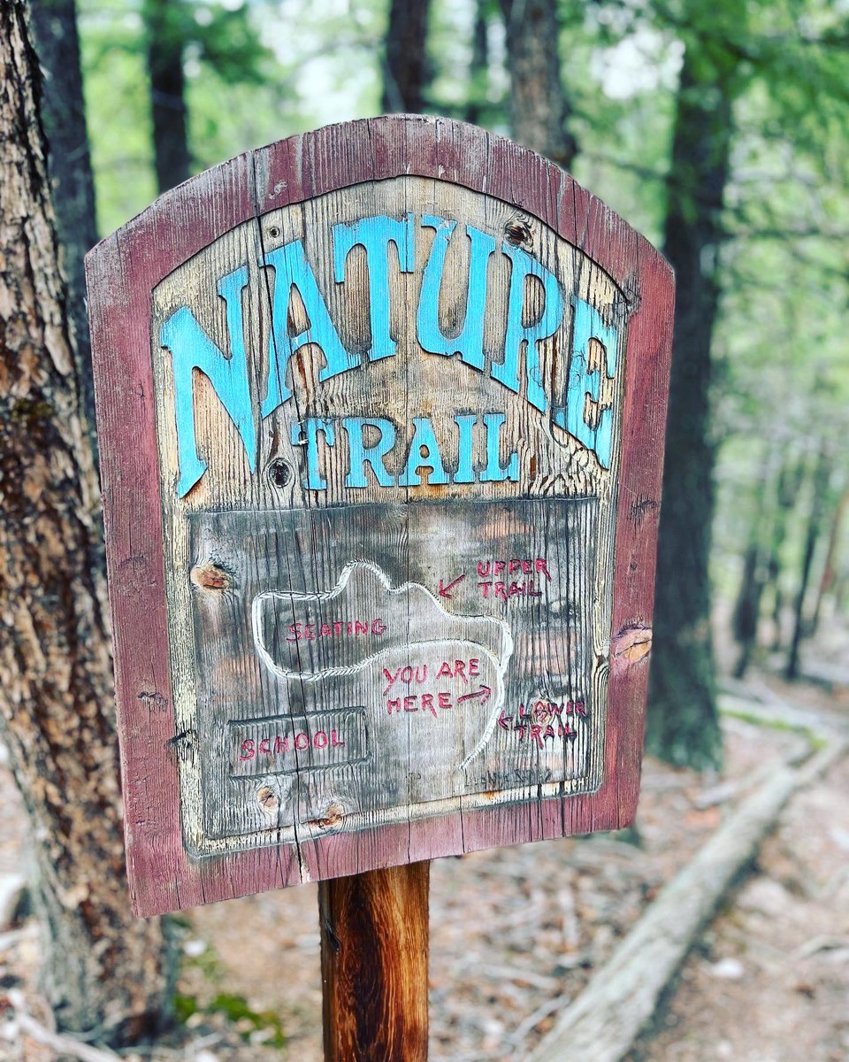 TJ Bonham tweet media