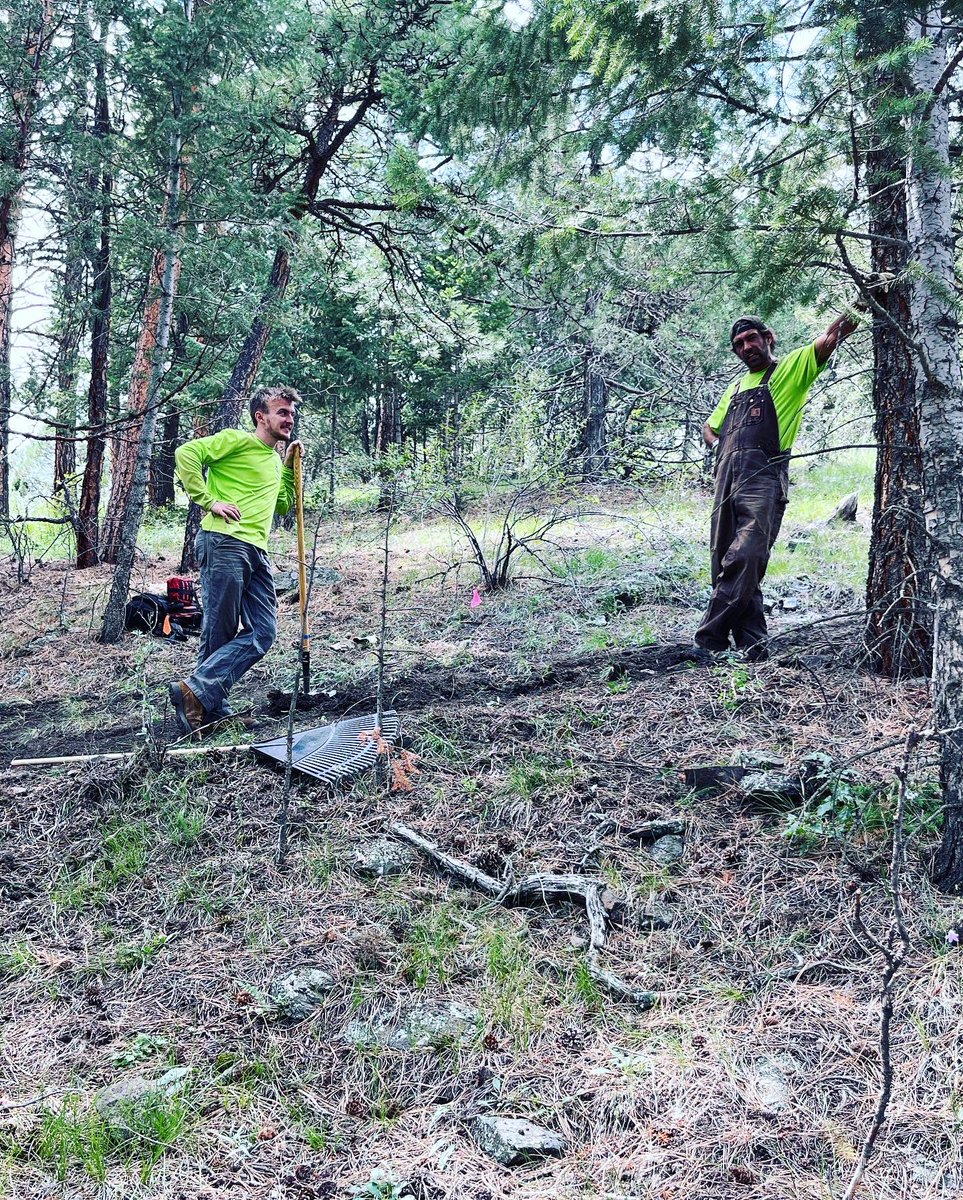 TJ Bonham tweet media