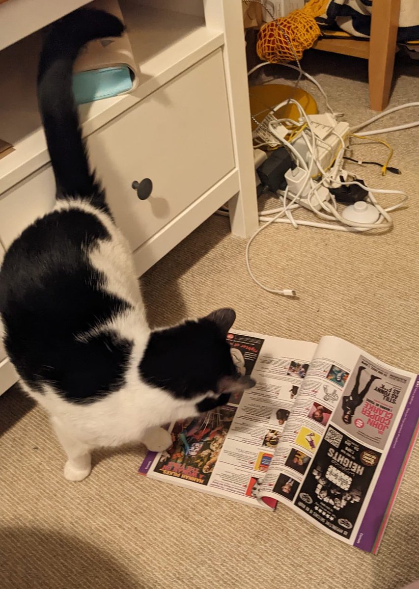 EdFringeFan's tweet photo. @DiploMog @edfests #petswithprogrammes you say?Cocoa is helping my daughter choose her shows… but it’s tiring work https://t.co/dTWmt2hneQ