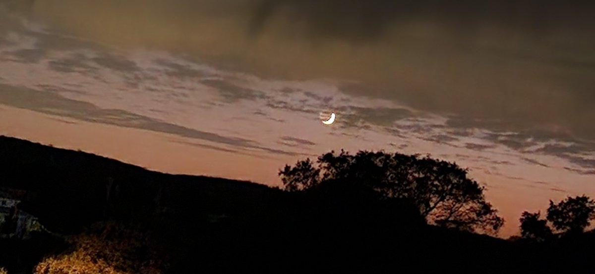 Artisanbreadman's tweet photo. The sun had set and in the darkness, there was a twinkle in the western sky there is no moon and when I took a picture with the night camera on my Samsung s20+ this is what was their I was stunned by what was I the picture. I am still not sure what planet it is mabey planet X or9 https://t.co/RcSCesfejL
