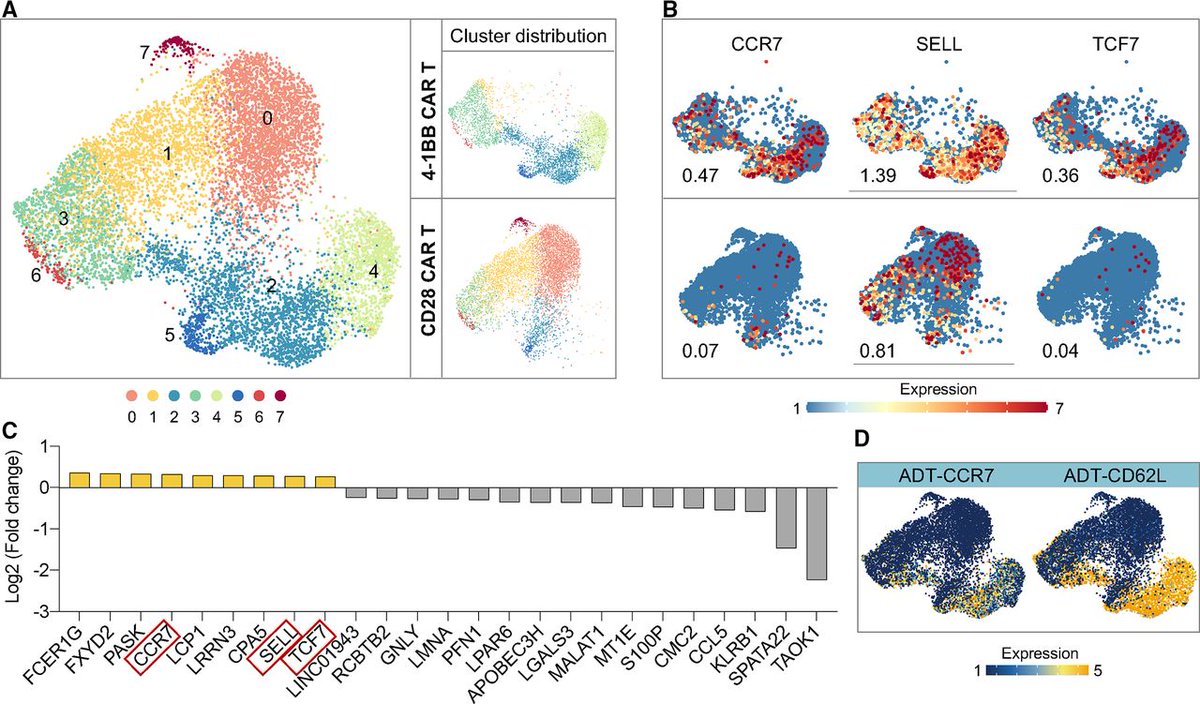 ICYMI: Single-cell multiomics dissection of basal and antigen-specific activation states of CD19-targeted CAR T cells bit.ly/3zhERb6 @RongFan8 @Zhiliang_Bai @carlhjune
