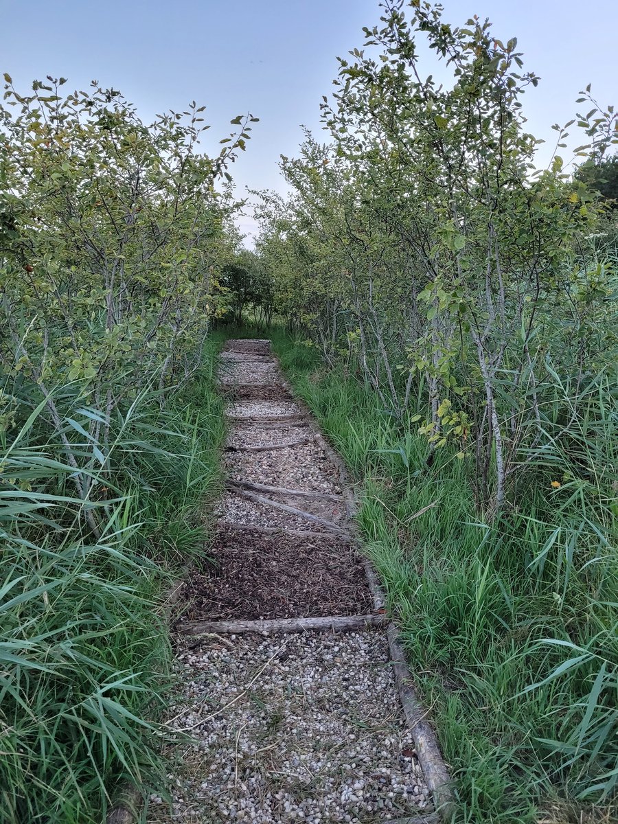 Natuurbelevings's tweet photo. Ook in de zomer wordt er gewerkt door onze #vrijwilligers. Want wat groeit alles hard 😁
De speelplekken hadden prioriteit vanavond want het is tenslotte vakantie. Ook zijn de paden gemaaid en zijn er snoeiklussen uitgevoerd. Fijne zomer allemaal! 😎 #zomerwerkavond #DeBult https://t.co/t8Bxh4pZCU