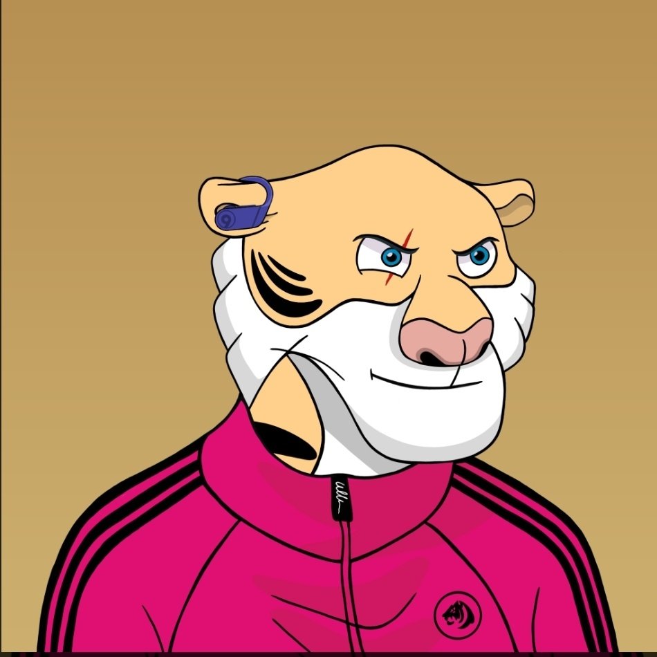 DivaShills's tweet photo. This one just feels more Diva-ish, Had to scoop it up. 
#tycoontigerclub https://t.co/frdpEsWb7u