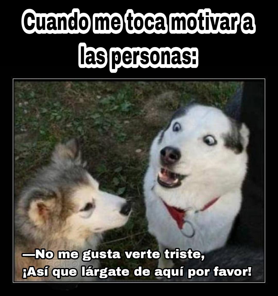 jptgal's tweet photo. #firstdates1a
pa la pisicologa perruna https://t.co/RfkxJGutXV