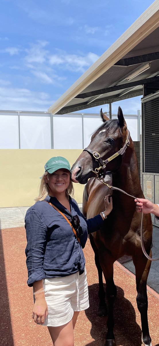 3Bloodstock's tweet photo. Happy belated birthday to all of our beautiful horses, it is also Emily’s birthday on August 1st - 🎂 🐎 🎈#GypsyPower #LadiesHorse https://t.co/48zNuh5TK1