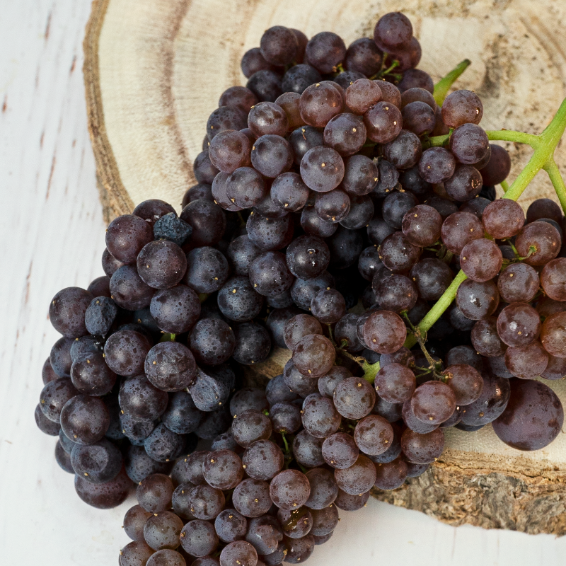 SpecialtyProd's tweet photo. Frozen champagne grapes are the perfect summer cooldown snack! #specialtyproduce #champagnegrapes #blackcorinthgrapes #grapes
