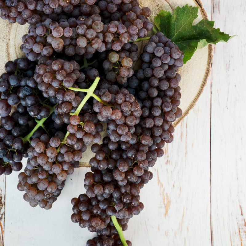 SpecialtyProd's tweet photo. Frozen champagne grapes are the perfect summer cooldown snack! #specialtyproduce #champagnegrapes #blackcorinthgrapes #grapes