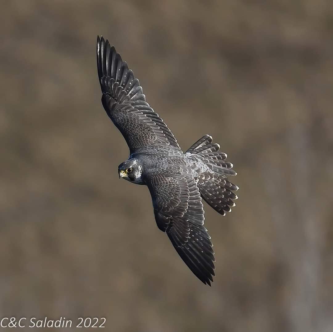 يخبرك الزمن  عن قيمة احبابك 
ليا منه جرحك وماقدرت  تطيب 
:
#يسعد_اوقاتكم♥️👋🏻