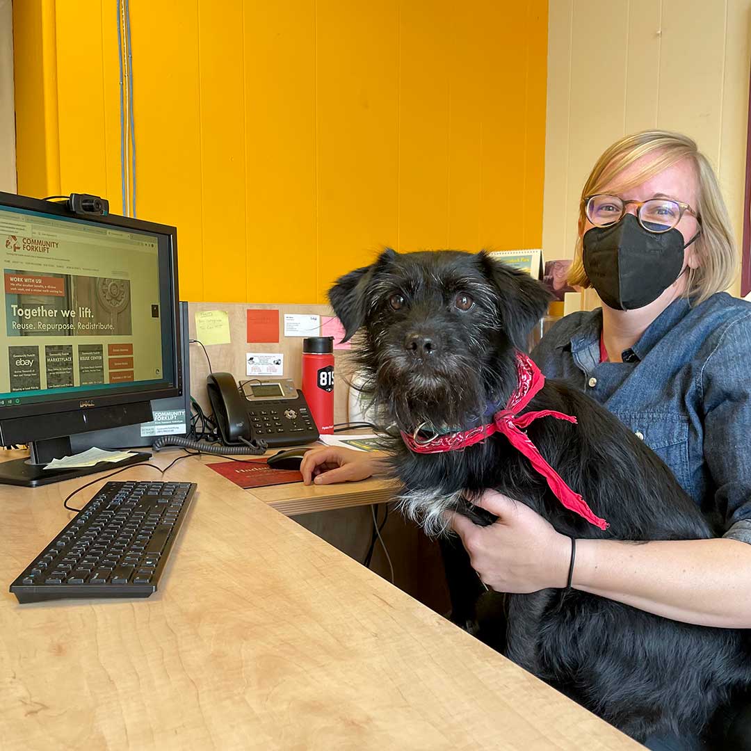CommForklift's tweet photo. Happy #DogustFirst, the universal birthday for shelter dogs! Today we’re celebrating the canine members of the Community Forklift team. Jackson appreciates the #greeneconomy, long walks with Sustainable Development Coordinator Katy, and treats from Forklift coworkers. https://t.co/wxguGCvbVq
