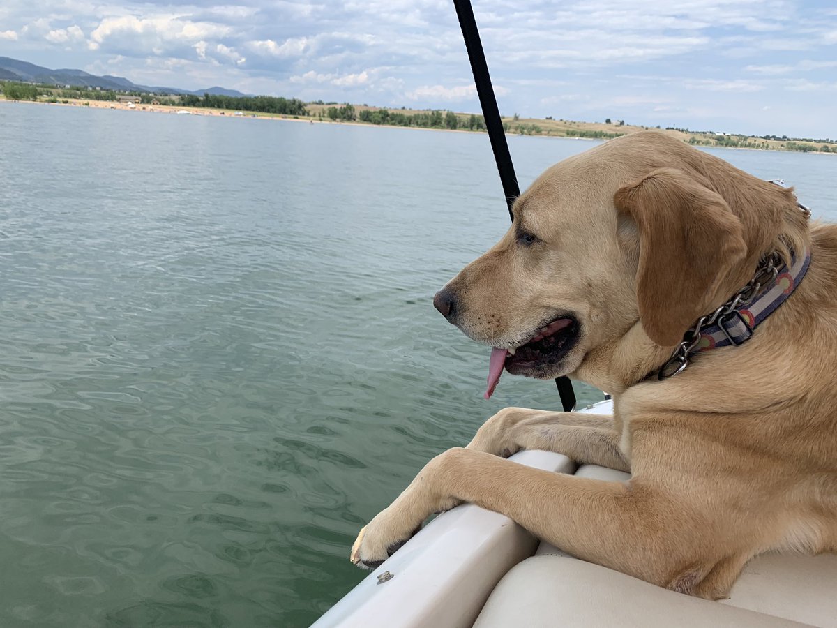 Happy Birthday Colorado! We celebrated your big day by spending time @chatfieldstatepark with the big guy!
#Mou(n)tains
#38thState 
#1876