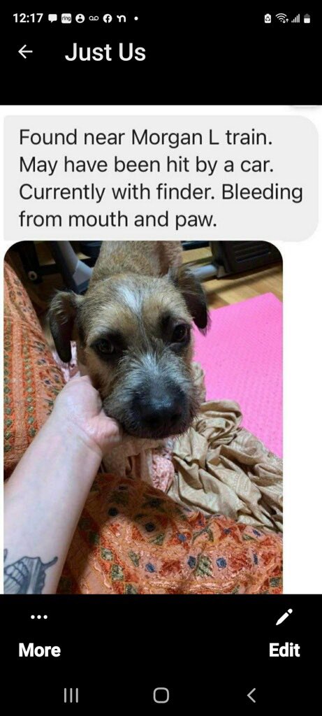 Linus & Friends (@linusrescue) on Twitter photo On my way to save a puppy who was hit by a car & take her to an emergency vet.. if you can spare any dollars I would be so grateful vënmø <a href="/linusrescue/">Linus & Friends</a> help us save Charli 💜 On my way to save a puppy who was hit by a car & take her to an emergency vet.. if you can spare any dollars I would be so grateful vënmø <a href="/linusrescue/">Linus & Friends</a> help us save Charli 💜