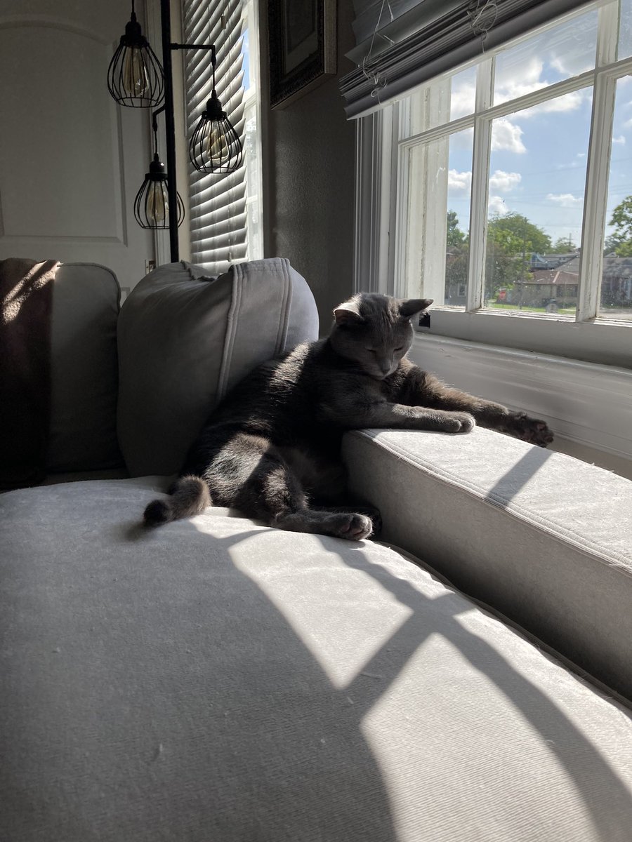 Jason Mussell (he/him) tweet media