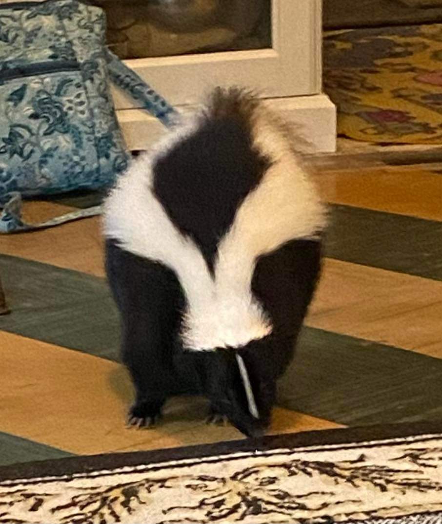 Andrew Smith tweet media