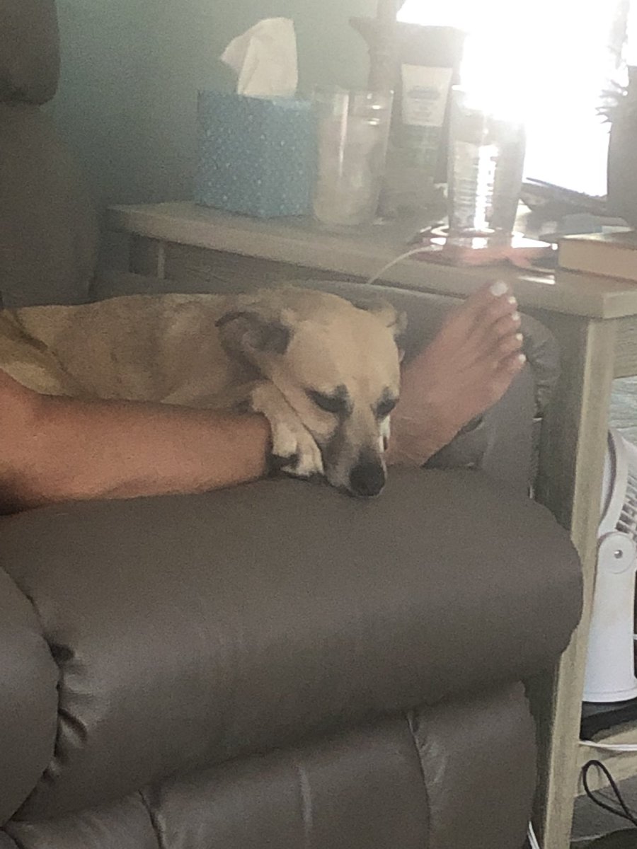 Snuggling with Mommy #ZSHQ