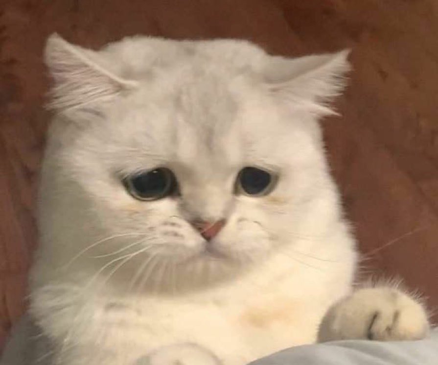 Me seeing everyone post abt their amazing weekend at <a href="/sound_and_fury/">Sound and Fury imo</a>