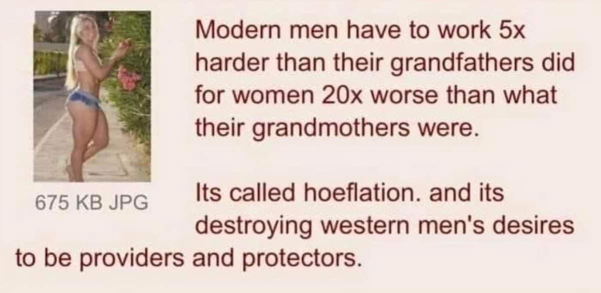 Screenshot of 4chan post that says “Modern men have to work 5x harder than their grandfathers did for women 20x worse than what their grandmothers were. Its called hoeflation. and its destroying western men's desires to be providers and protectors.”