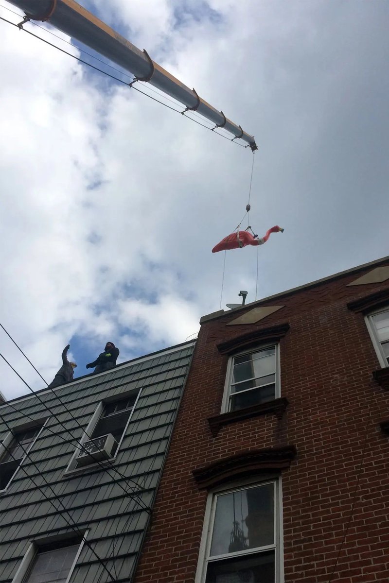 TheNorskaPaul's tweet photo. Giant flamingos have risen from backyard of East Williamsburg property in #NYC 😳
Standing 28 & 17 ft tall the sculptures are #JeffKoons inspired, replicas of 1967 Featherstone flamingo lawn ornaments.
#Brooklyn dude #EricOgden took six years & $1000s to make & look superb 😍👍 https://t.co/hqXCnrvzuq