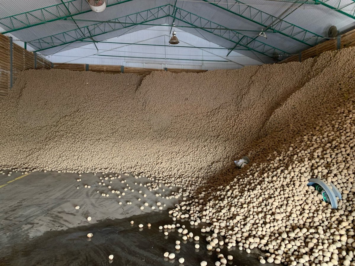 pierrepicard051's tweet image. #almostempty