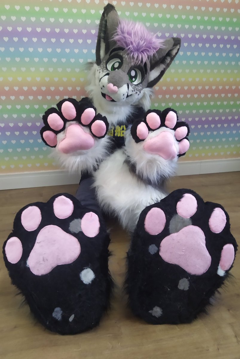 FursuitsPrisma's tweet photo. Silver the Feline Rexouium 💜💙
#fursuitmaker #furryfandom #furrybr #fursuit #fursona #furrypaws #fursuiter #fursuitwip #fursuiting #furries #fursuithead #fursuitfriday #furry #VRChat https://t.co/8Hils8dfMS
