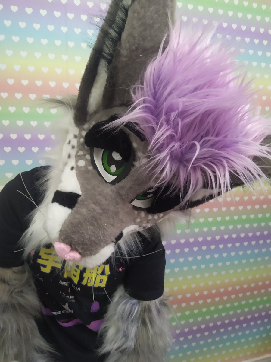 FursuitsPrisma's tweet photo. Silver the Feline Rexouium 💜💙
#fursuitmaker #furryfandom #furrybr #fursuit #fursona #furrypaws #fursuiter #fursuitwip #fursuiting #furries #fursuithead #fursuitfriday #furry #VRChat https://t.co/8Hils8dfMS