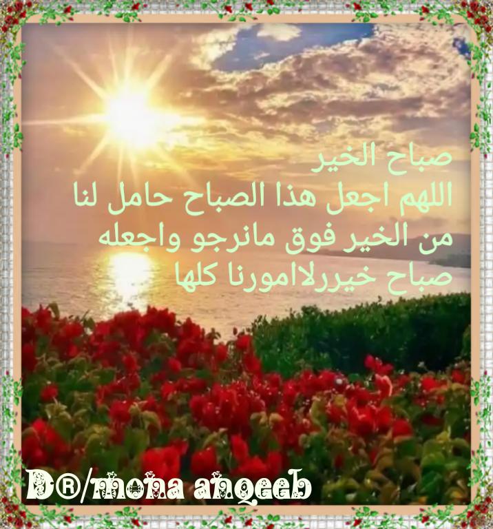 آلدگتورهہ مـಿـنئ آلنقـಿـيبಿـ tweet media