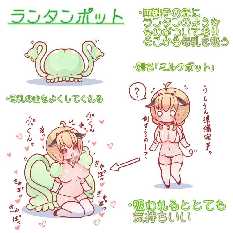 ランタンポットです 