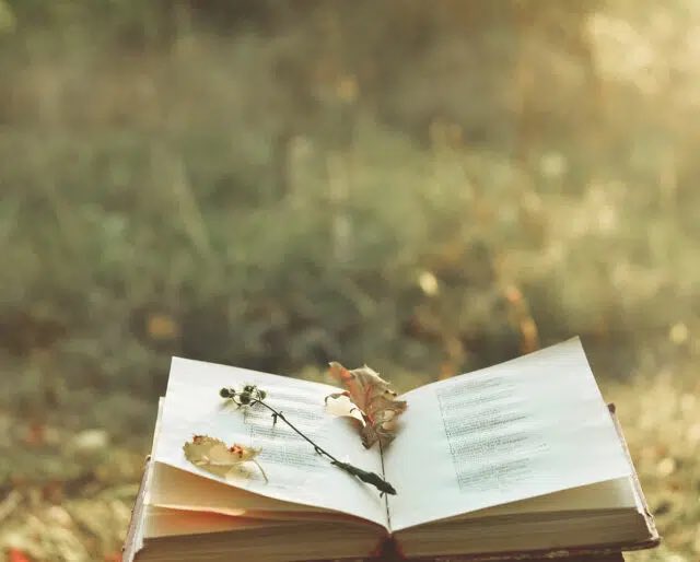 Josiah Gordon "Doc" Scurlock (RP) (@ofhispoeticways) on Twitter photo 