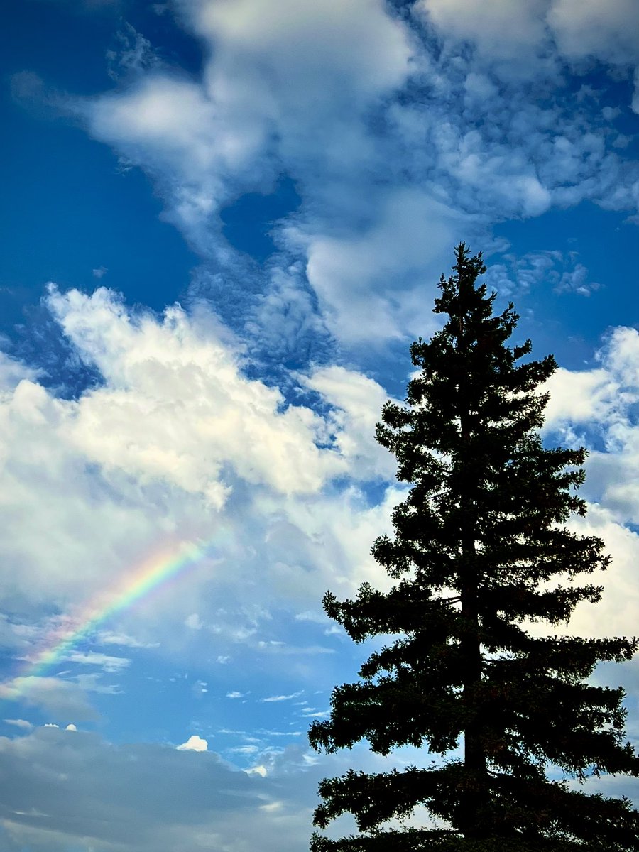 Nik Kalyani - Freedom for Iran tweet media