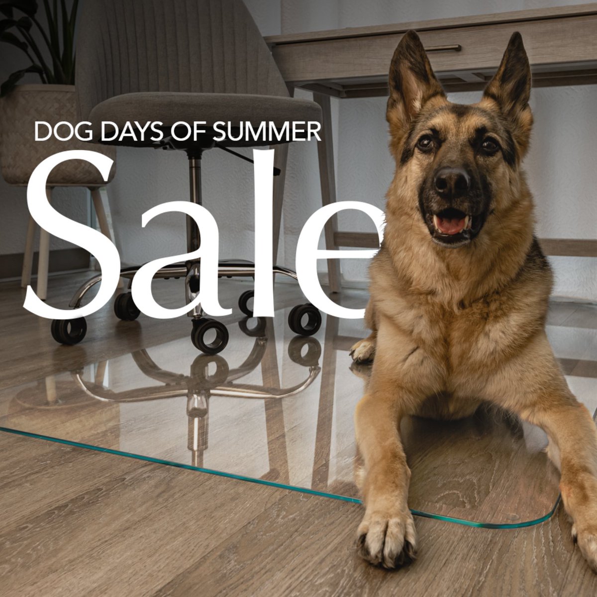 Vitrazza's tweet photo. Cool down with hot savings on the Brava Collection!
Affordable, space-saving designs, starting at $199!
#vitrazza #glasschairmat #germanshepherd #dogoftheday #boopthesnoot https://t.co/sqVHeCDYoR