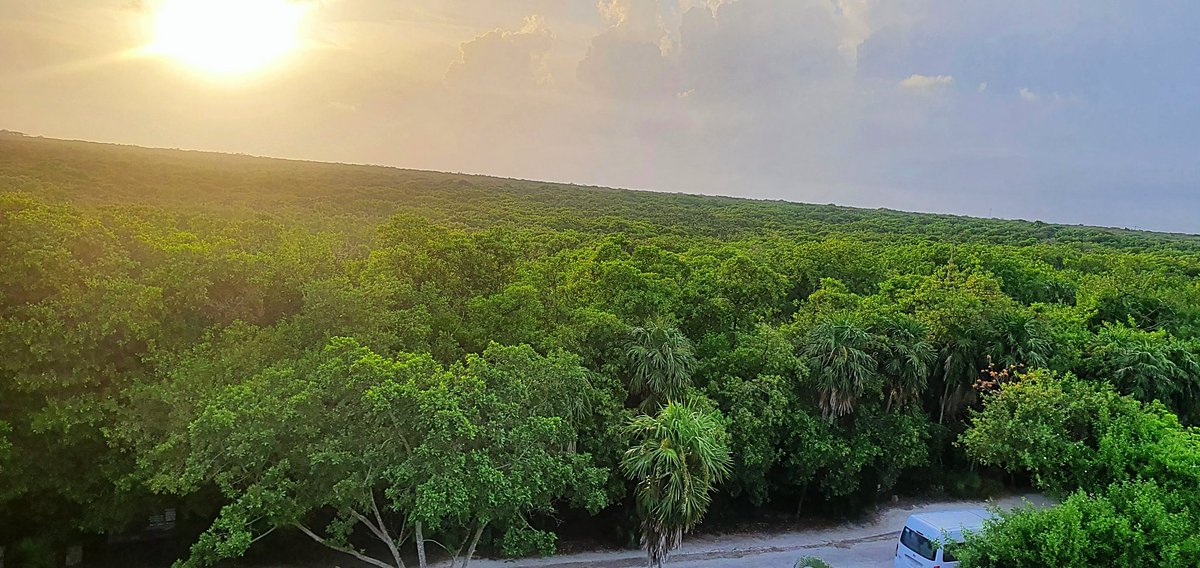 anacorneira's tweet photo. Tulum desde las alturas... Mexico lindo...! https://t.co/ogXWSqp3Ir