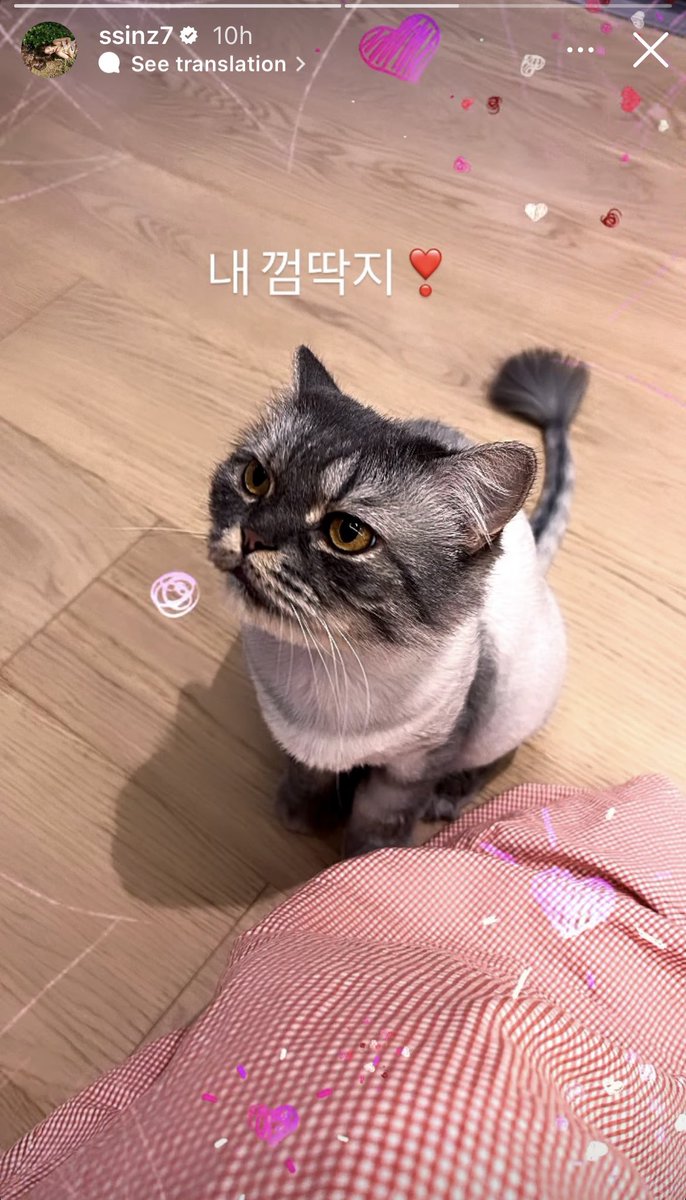 PSHFB's tweet photo. #ParkShinHye Instagram Story Update

https://t.co/f73kpYe95d

https://t.co/UWEBsHsEwW https://t.co/lfIkbQLqvb