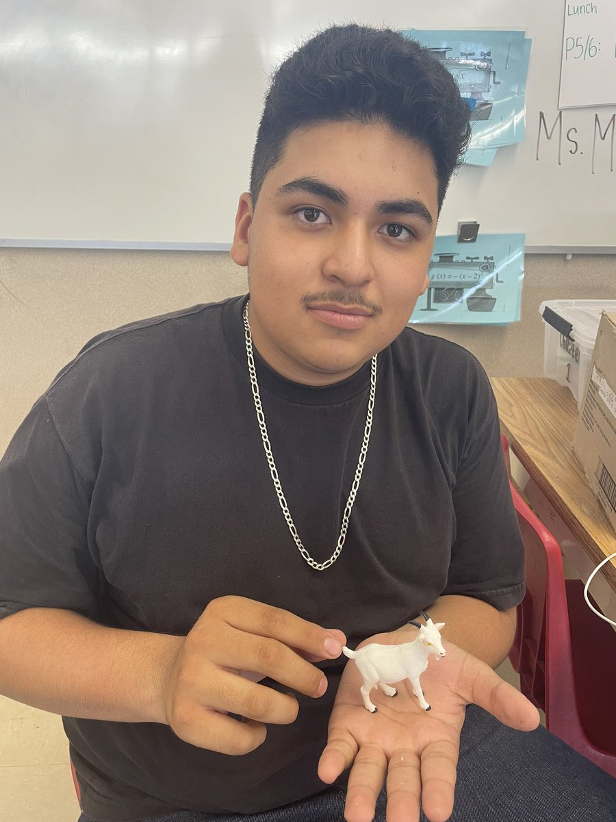 mckeemath's tweet image. Offered a prize for being the first student to be able to name all the other students in your class. The prize was a goat, because “you’re the goat” @CarlosD70460315
