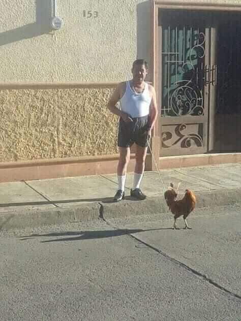 DRoGo10235126's tweet photo. Este soy yo cada que me dicen que saqué el gallo https://t.co/HiyISQtZEd